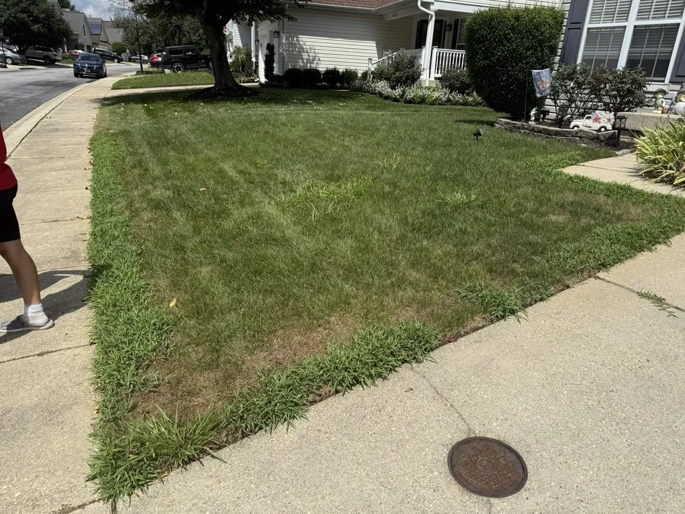 Professional landscape design with custom design across Springfield, VA - Blades of Green