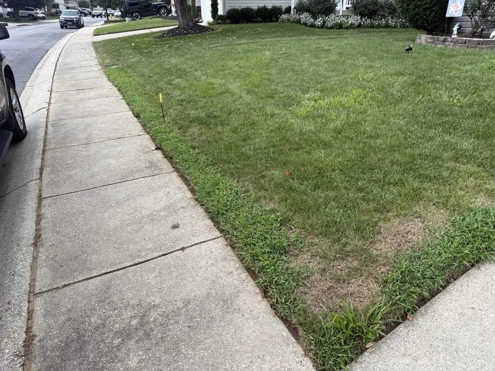 Top-rated yard maintenance experts serving Springfield, VA - Blades of Green