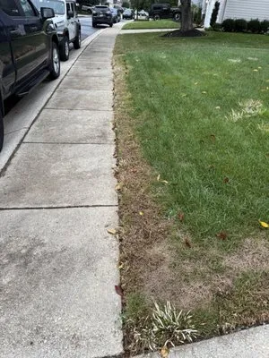 Blades of Green Logo