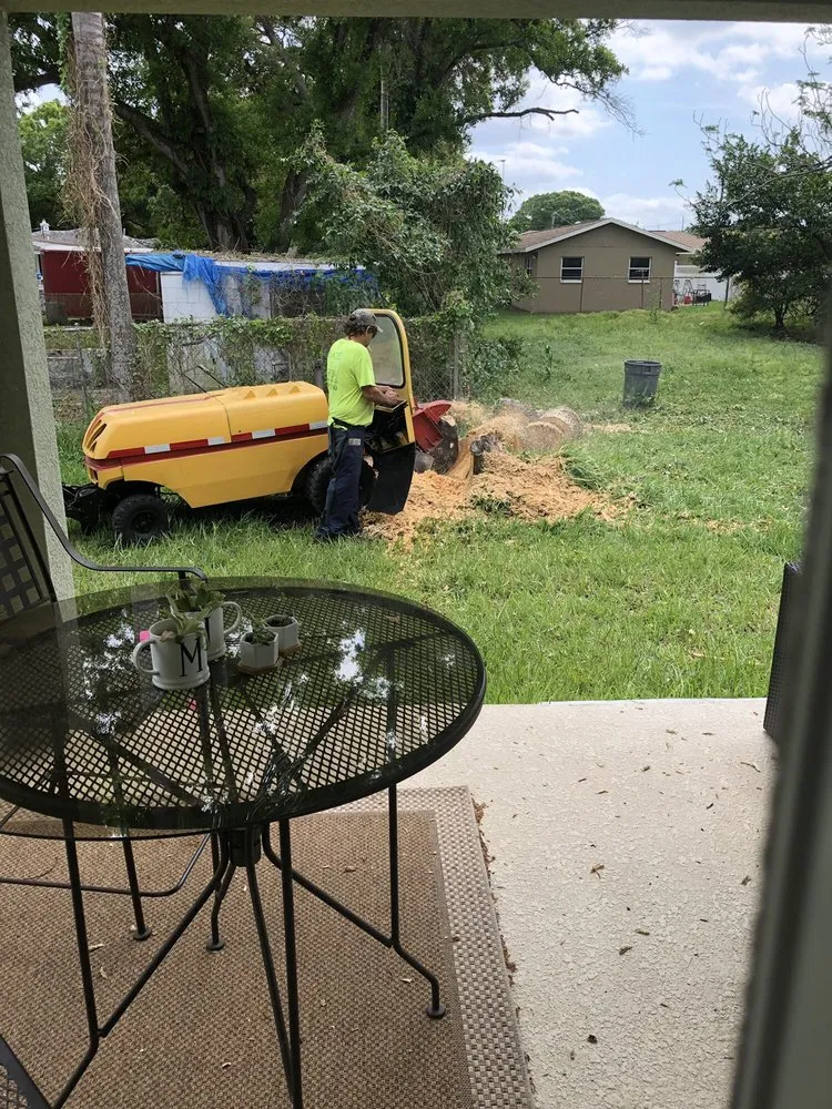 Local garden landscaping in Tampa, FL by Blades of Green Tree Services and Landscaping