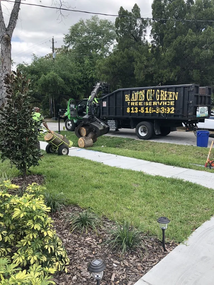 Top-rated outdoor landscaping for outdoor upgrades across Tampa, FL - Blades of Green Tree Services and Landscaping