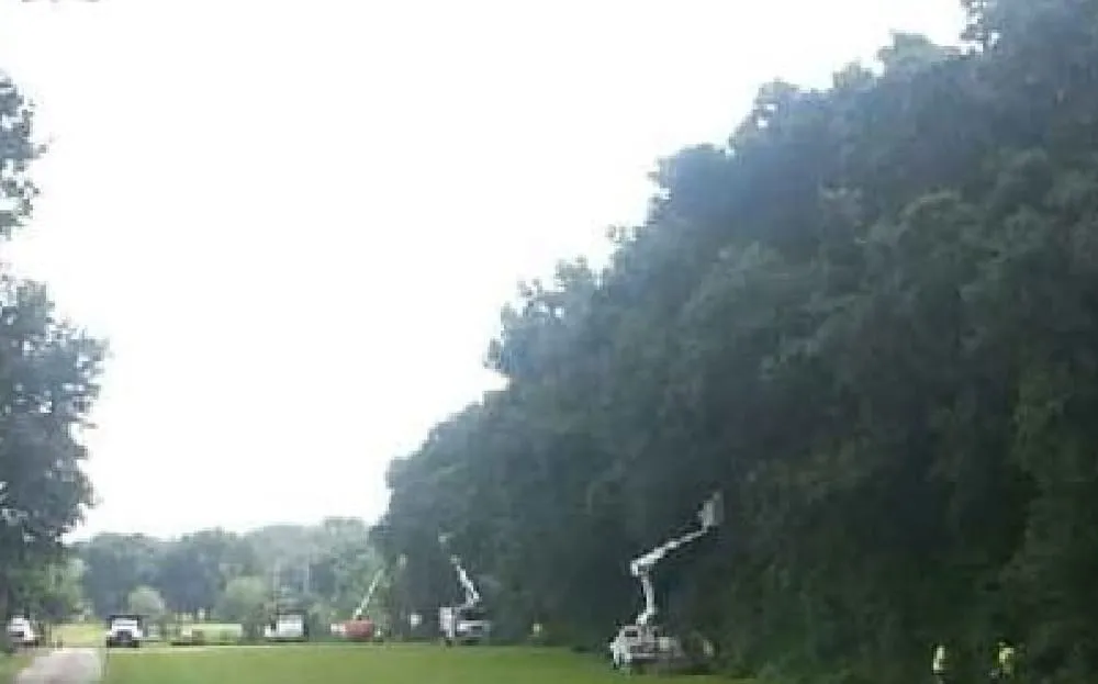 Trusted landscape design for residential properties across Tampa, FL - Blades of Green Tree Services and Landscaping