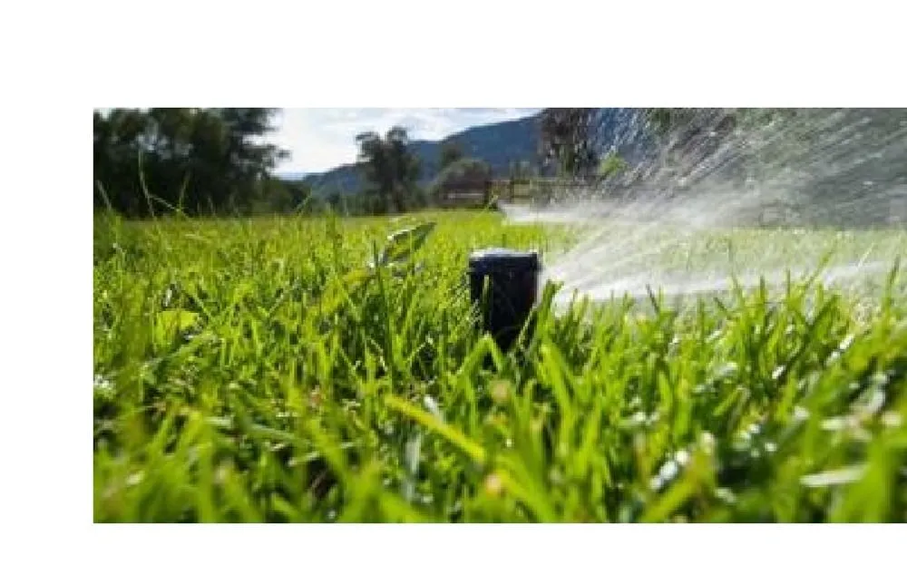 Expert outdoor landscaping in Tampa, FL by Blades of Green Tree Services and Landscaping