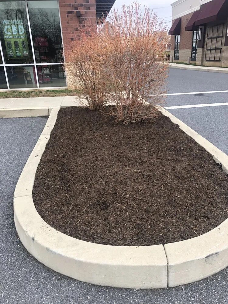 Affordable yard maintenance in Wernersville, PA - Blades of Steel Landscaping