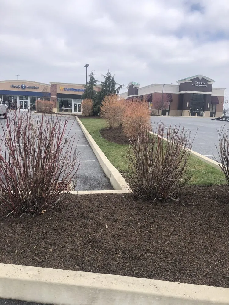 Expert lawn mowing service experts serving Wernersville, PA - Blades of Steel Landscaping