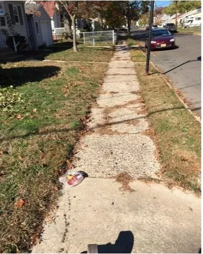 Custom yard cleanup service for year-round maintenance across Wernersville, PA - Blades of Steel Landscaping