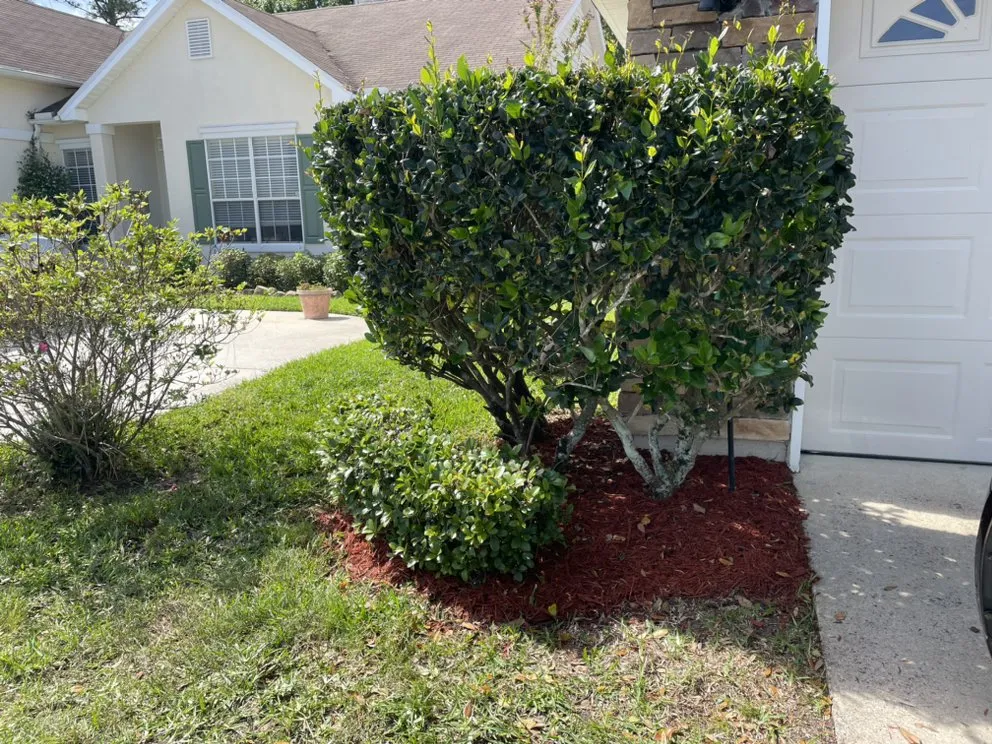 Trusted residential landscaping experts serving Jacksonville, FL - Blades On Blades