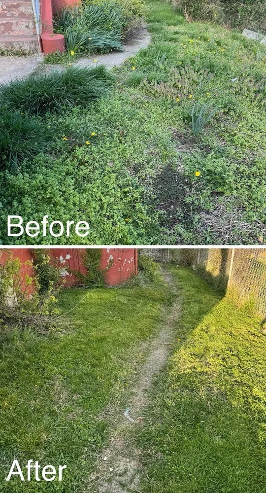 Custom lawn mowing service experts serving Essex, MD - Blades On The Bay