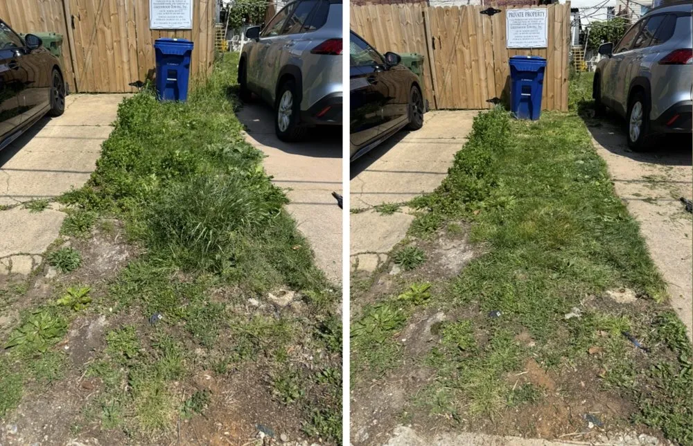 Reliable landscaping services in Essex, MD - Blades On The Bay