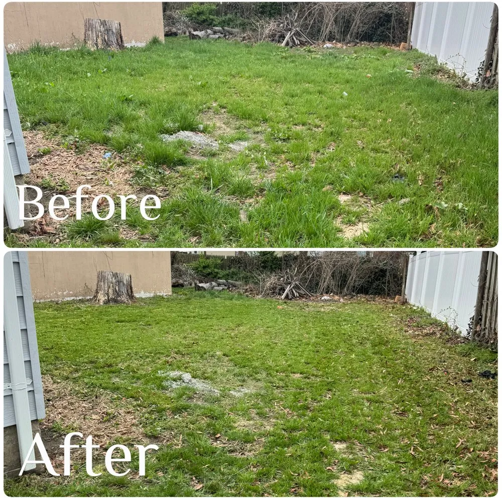 Trusted yard maintenance in Essex, MD by Blades On The Bay