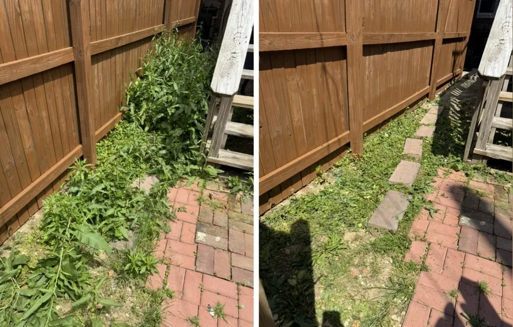 Custom yard cleanup service in Essex, MD - Blades On The Bay