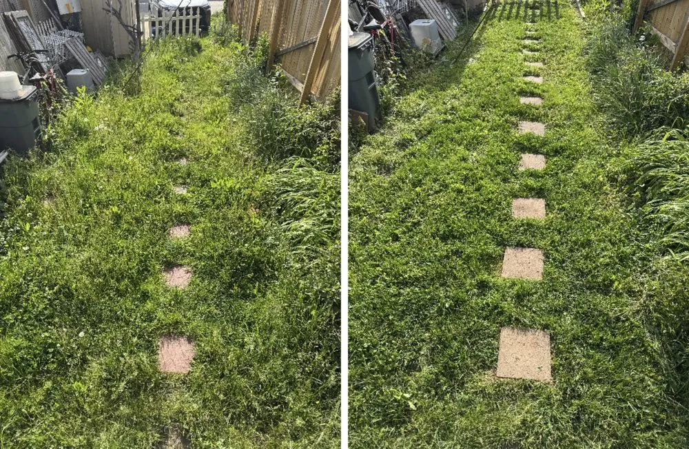 Reliable landscape installation for year-round maintenance in Essex, MD by Blades On The Bay