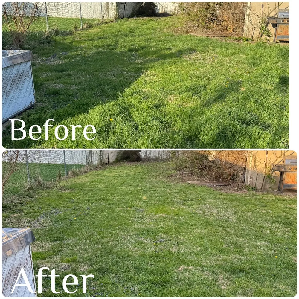 Affordable lawn care service in Essex, MD - Blades On The Bay
