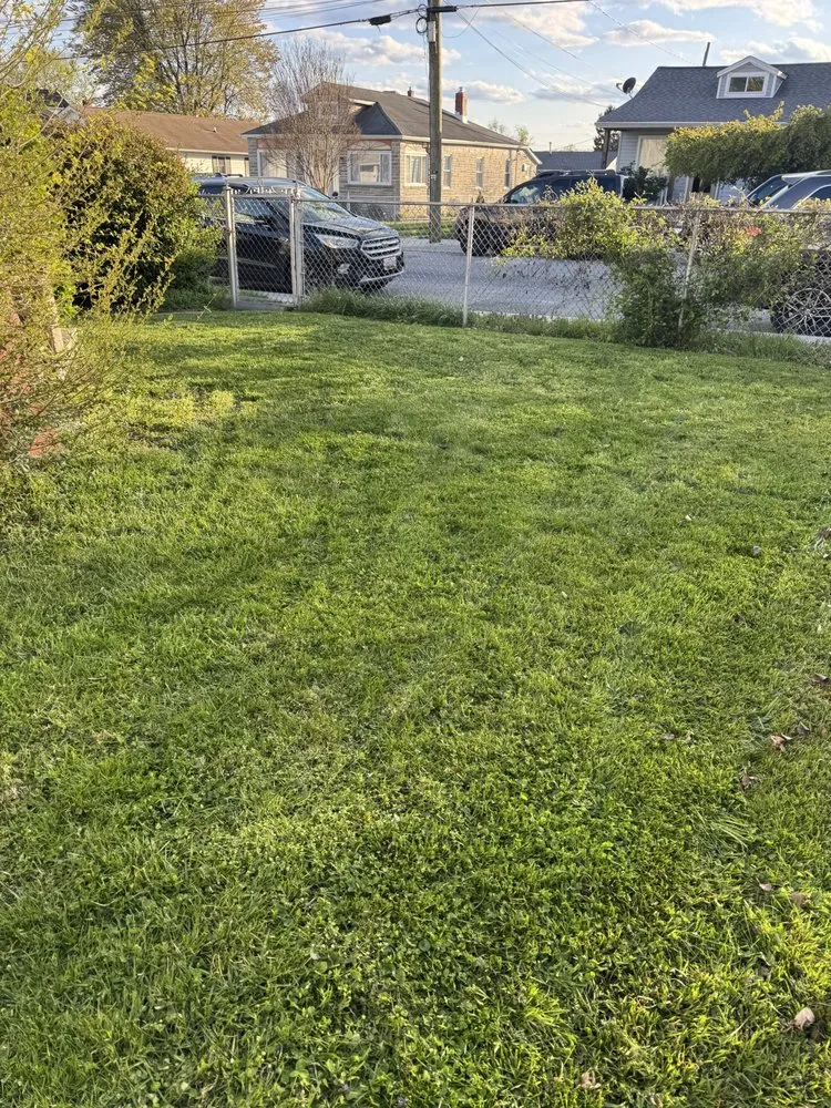 Custom landscaping services experts serving Essex, MD - Blades On The Bay