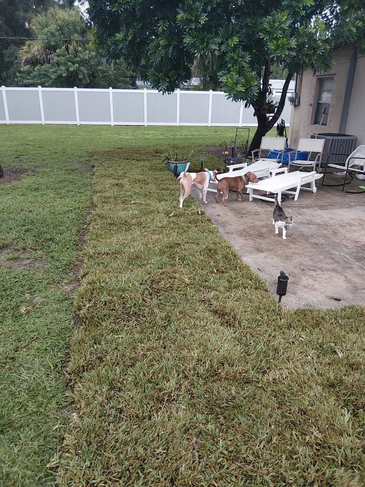Top-rated lawn care service in Vero Beach, FL - Blades to Branches