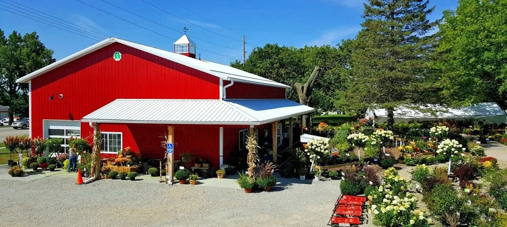 Expert yard cleanup service experts serving Marion, IA - Bladeworks