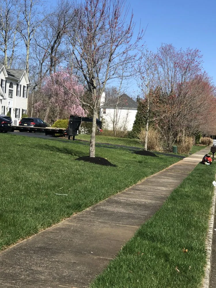 Affordable residential landscaping experts serving Lakewood, NJ - Bladez Landscaping