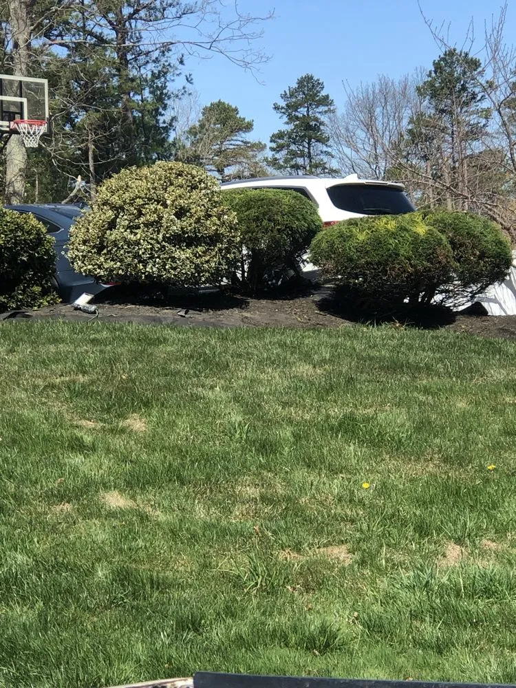 Trusted yard cleanup service in Lakewood, NJ - Bladez Landscaping