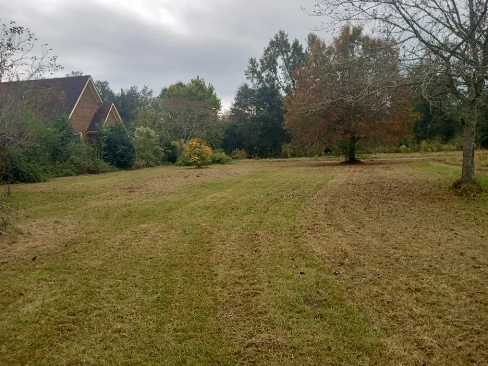 Professional yard cleanup service experts serving Slocomb, AL - Bladez Lawn Care Service