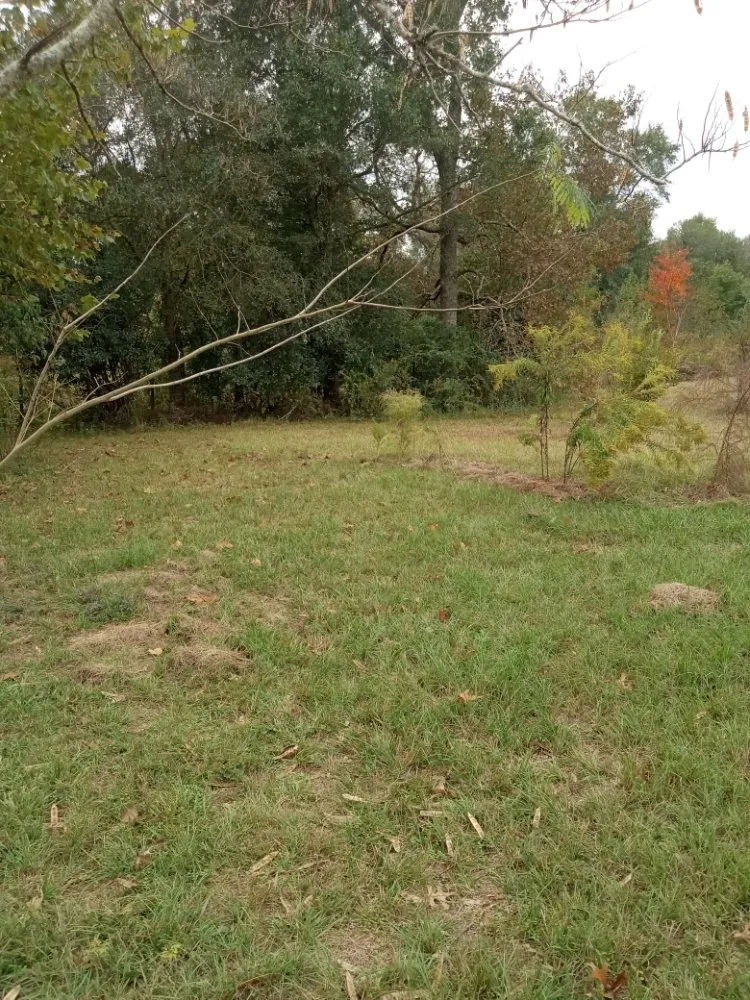 Expert landscape installation in Slocomb, AL - Bladez Lawn Care Service