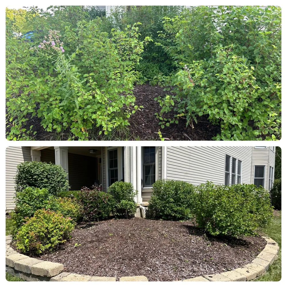 Affordable landscape installation experts serving West Dundee, IL - Bladez Lawn Services