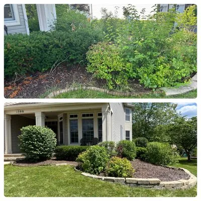 Bladez Lawn Services