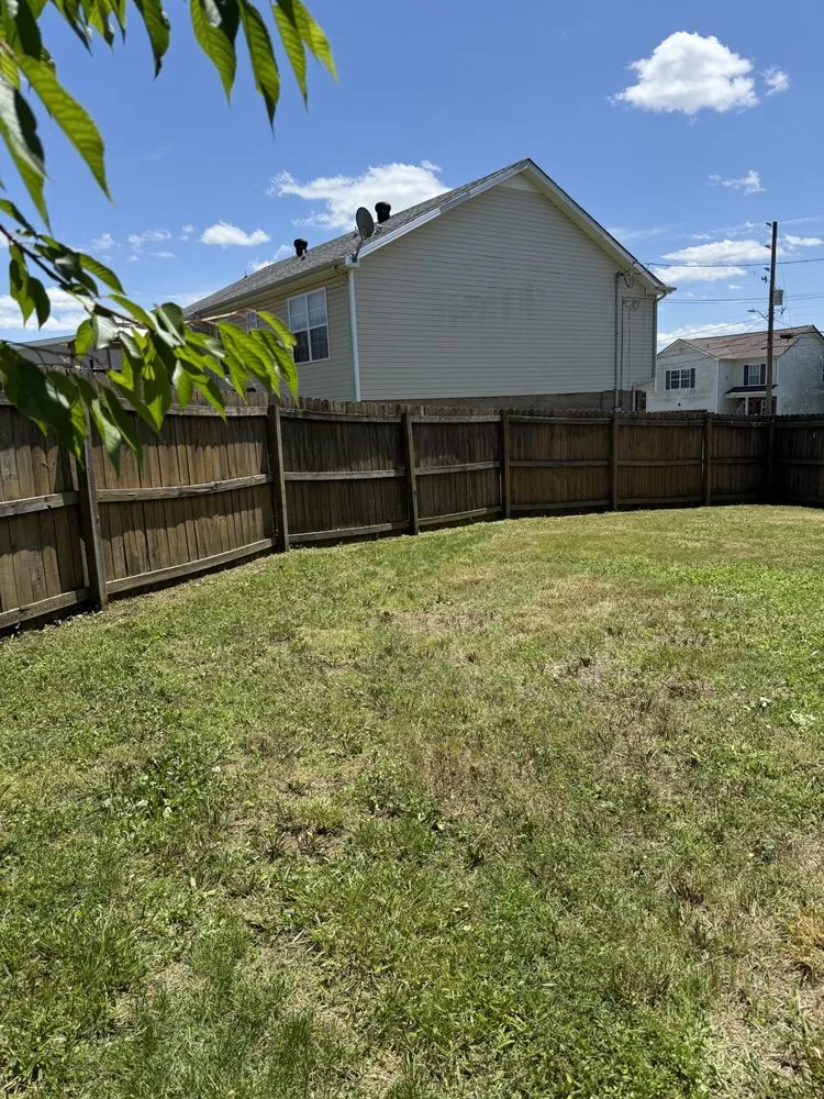 Expert yard maintenance for year-round maintenance across Clarksville, TN - Bladez N Grass Lawn Care