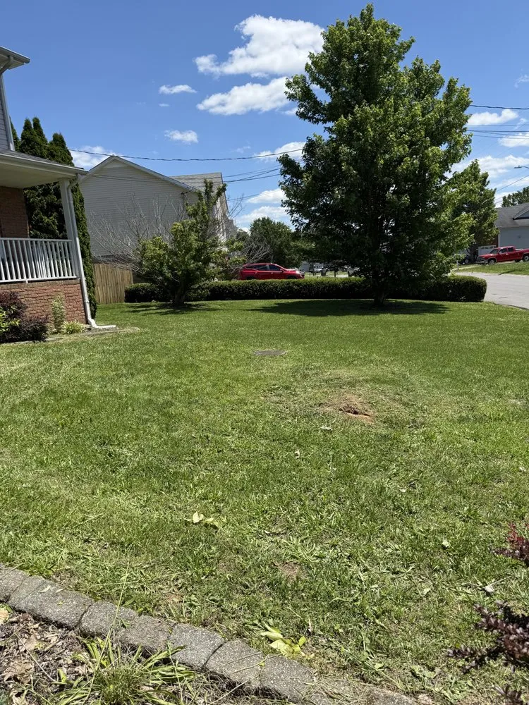 Reliable yard cleanup service near you across Clarksville, TN - Bladez N Grass Lawn Care