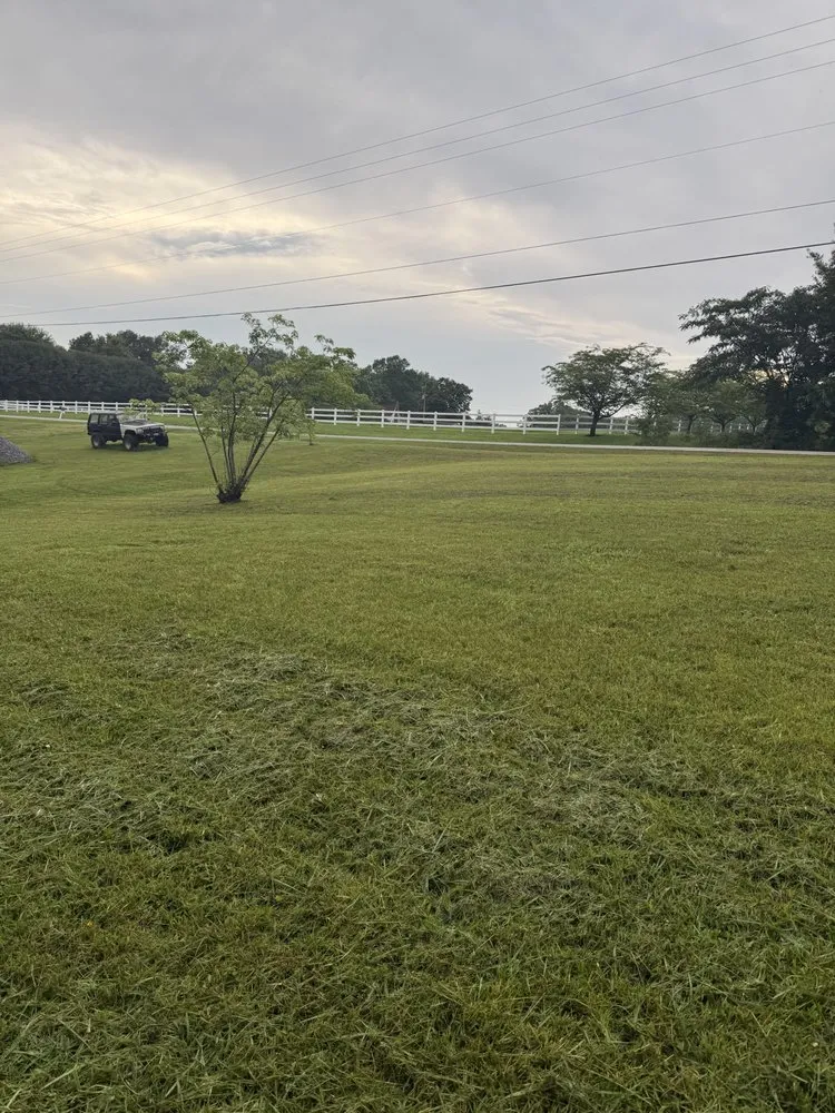 Reliable yard maintenance for beautiful yards across Clarksville, TN - Bladez N Grass Lawn Care