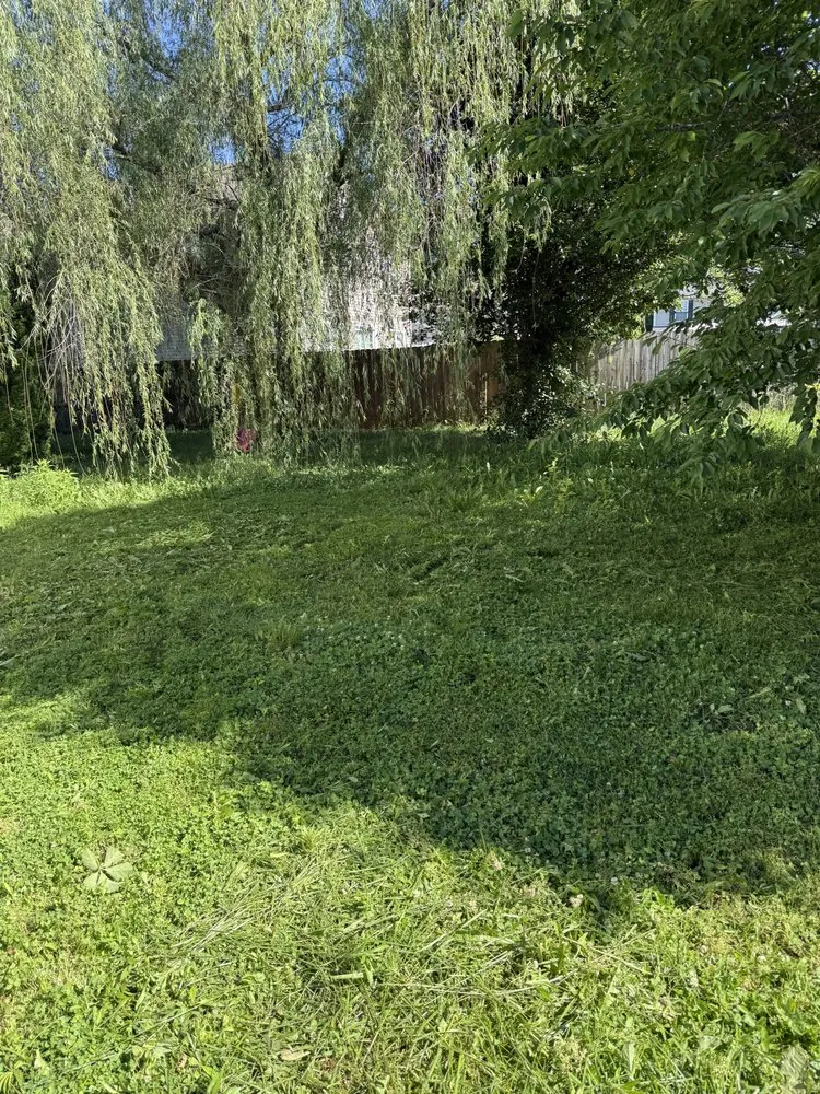 Top-rated outdoor landscaping in Clarksville, TN - Bladez N Grass Lawn Care