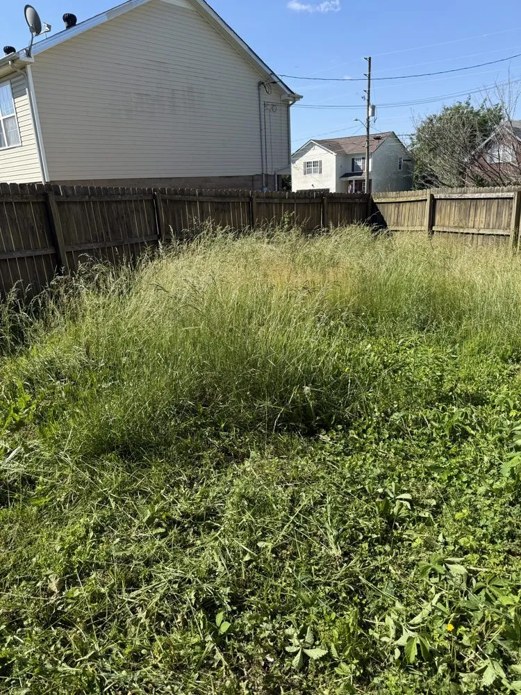 Professional yard maintenance for outdoor upgrades across Clarksville, TN - Bladez N Grass Lawn Care