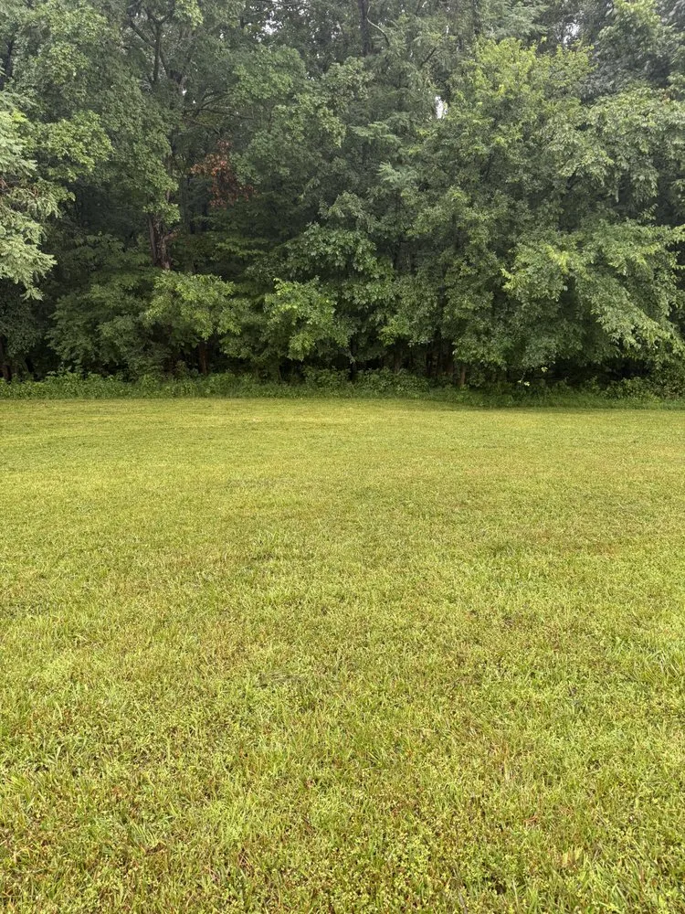 Affordable landscape installation near you across Clarksville, TN - Bladez N Grass Lawn Care