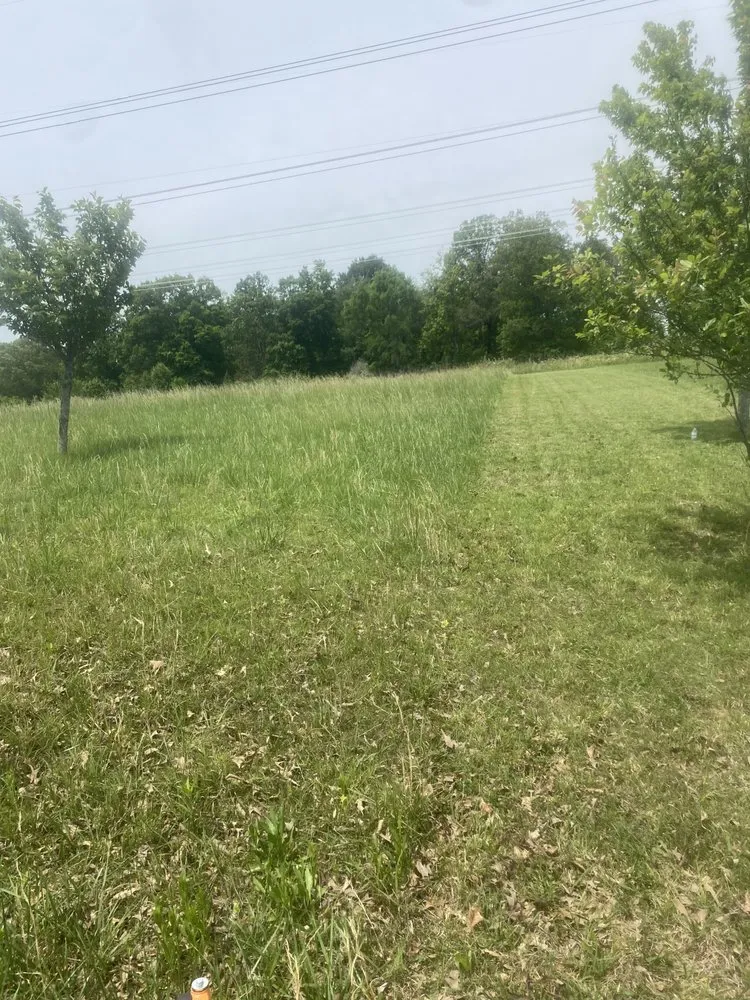 Trusted residential landscaping in Clarksville, TN - Bladez N Grass Lawn Care