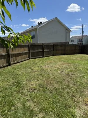 Bladez N Grass Lawn Care Logo