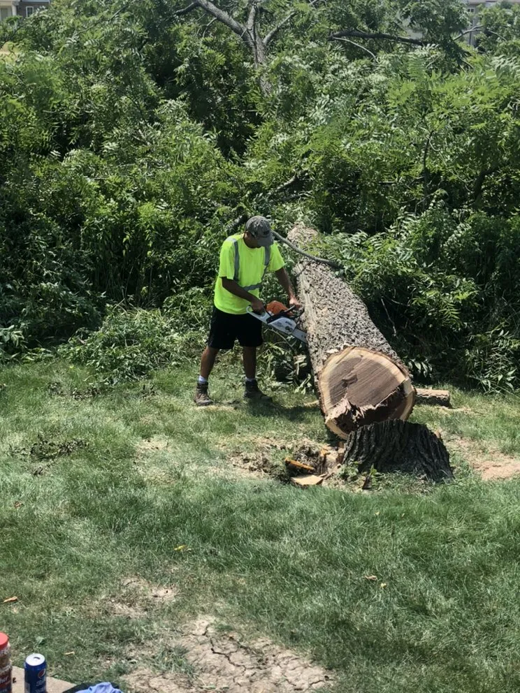 Reliable landscaping services for homes across North Liberty, IA - Bladz Lawn Service