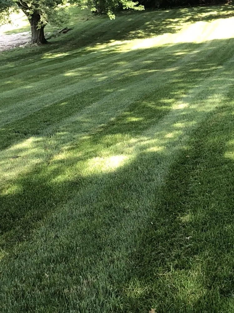 Reliable landscaping services experts serving North Liberty, IA - Bladz Lawn Service