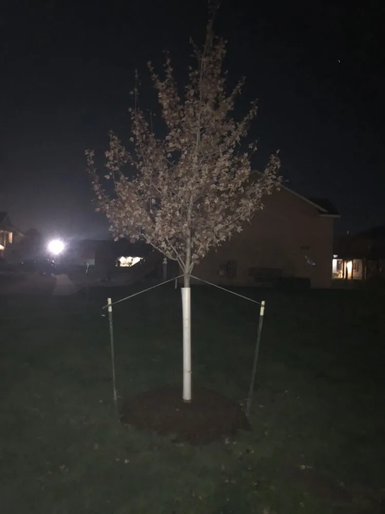 Professional yard maintenance with custom design in North Liberty, IA by Bladz Lawn Service