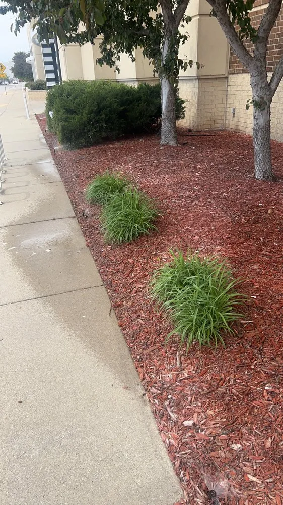 Expert yard cleanup service in North Liberty, IA by Bladz Lawn Service