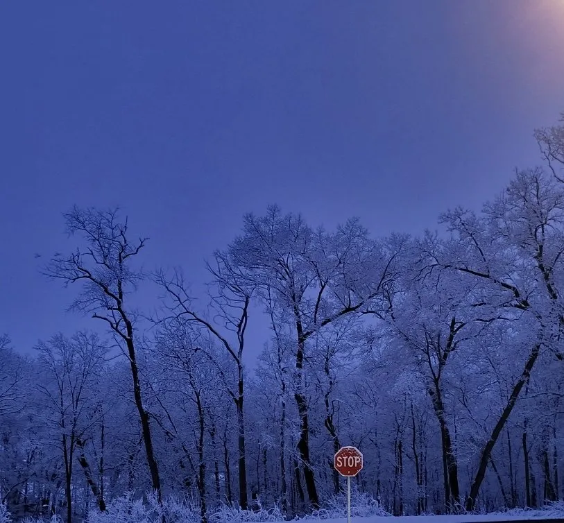 Top-rated lawn mowing service for beautiful yards across North Liberty, IA - Bladz Lawn Service