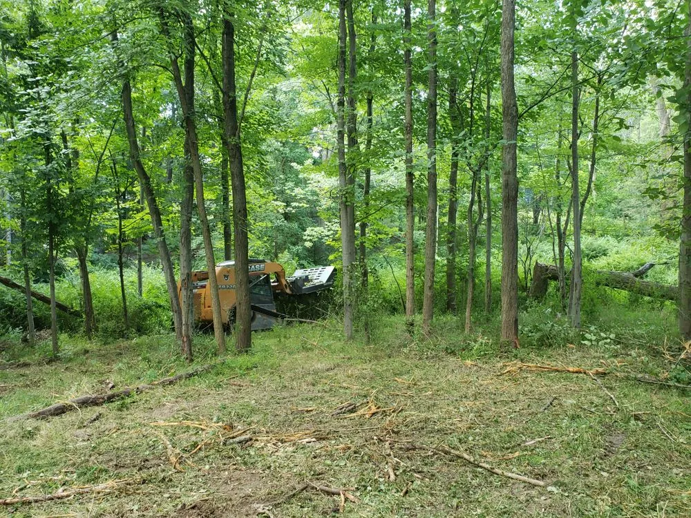 Affordable lawn care service for year-round maintenance in North Royalton, OH by Blaha's Landscaping & Tree Service