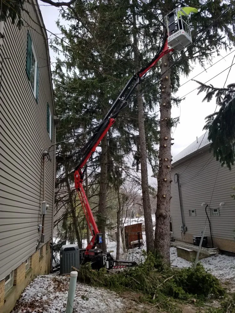 Custom lawn mowing service for beautiful yards across North Royalton, OH - Blaha's Landscaping & Tree Service