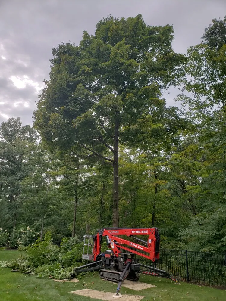 Custom landscape installation in North Royalton, OH by Blaha's Landscaping & Tree Service