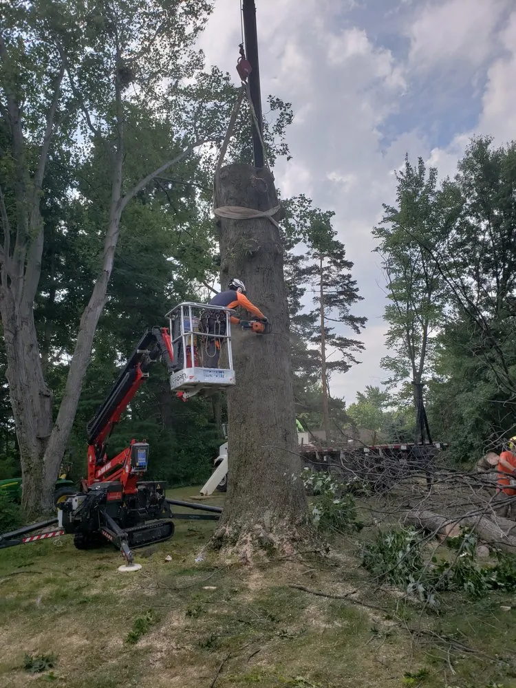 Top-rated lawn care service in North Royalton, OH by Blaha's Landscaping & Tree Service