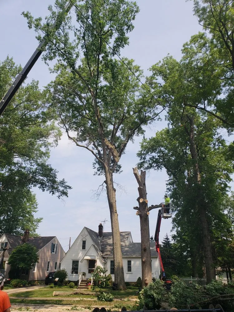 Professional outdoor landscaping for outdoor upgrades in North Royalton, OH by Blaha's Landscaping & Tree Service