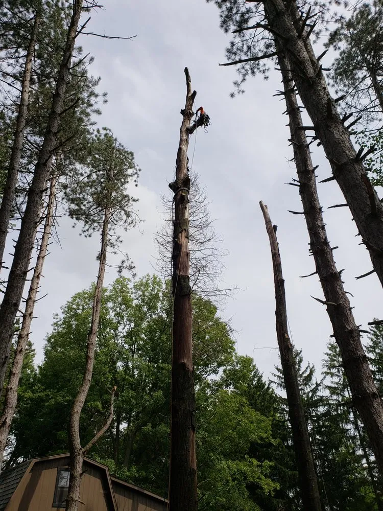 Affordable outdoor landscaping in North Royalton, OH - Blaha's Landscaping & Tree Service