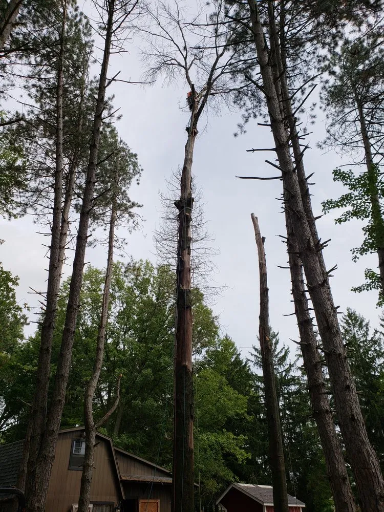 Trusted garden landscaping for year-round maintenance in North Royalton, OH by Blaha's Landscaping & Tree Service