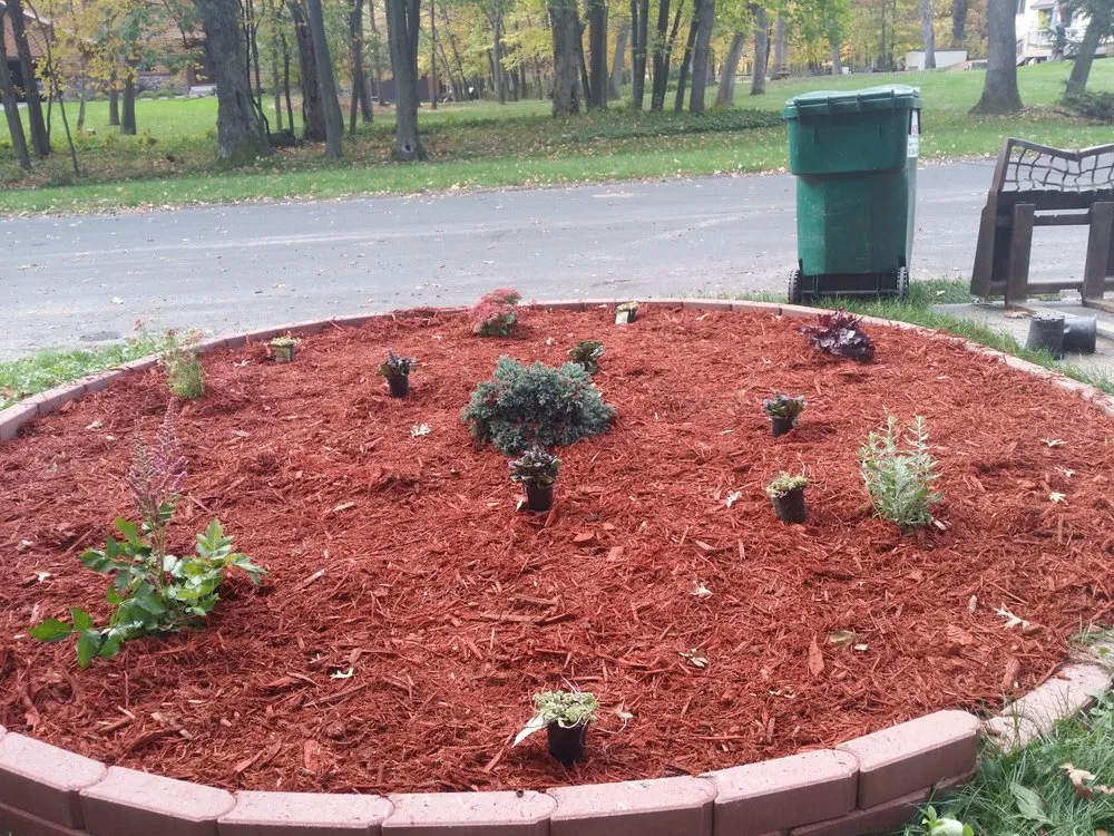 Expert yard cleanup service near you across Circle Pines, MN - Blaido's landscaping