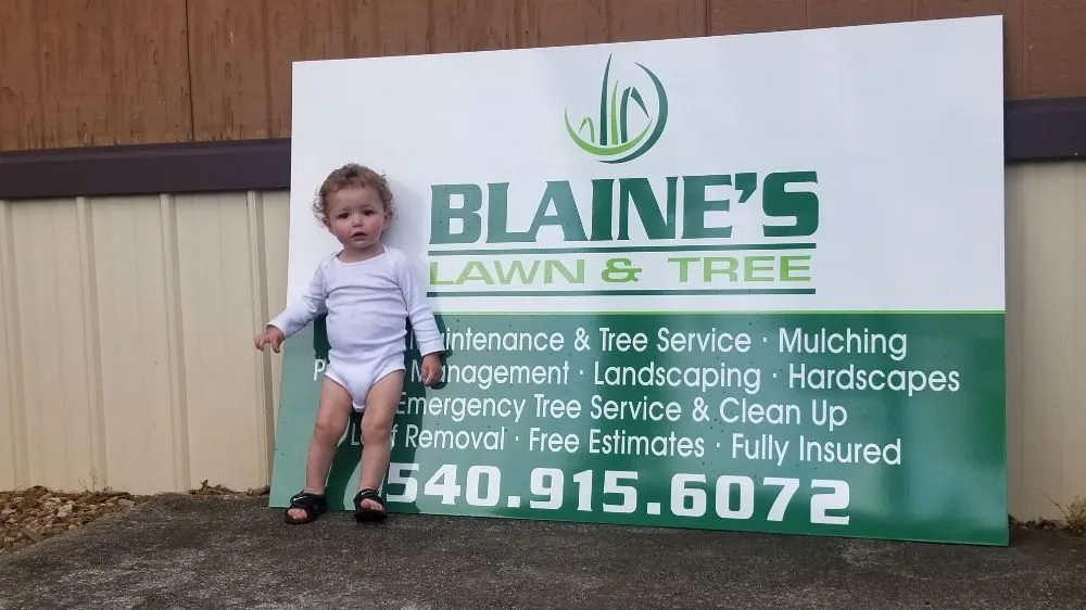 Reliable residential landscaping for year-round maintenance across Rocky Mount, VA - Blaine's Lawn & Tree