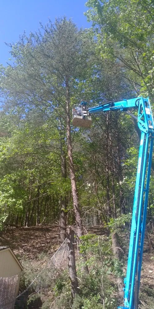 Affordable lawn care service for year-round maintenance in Rocky Mount, VA by Blaine's Lawn & Tree