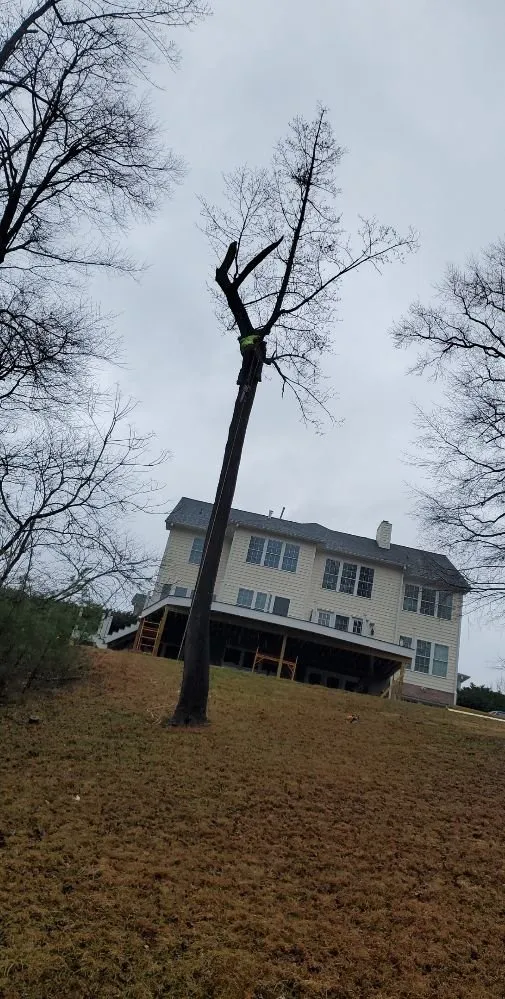 Trusted yard maintenance experts serving Rocky Mount, VA - Blaine's Lawn & Tree